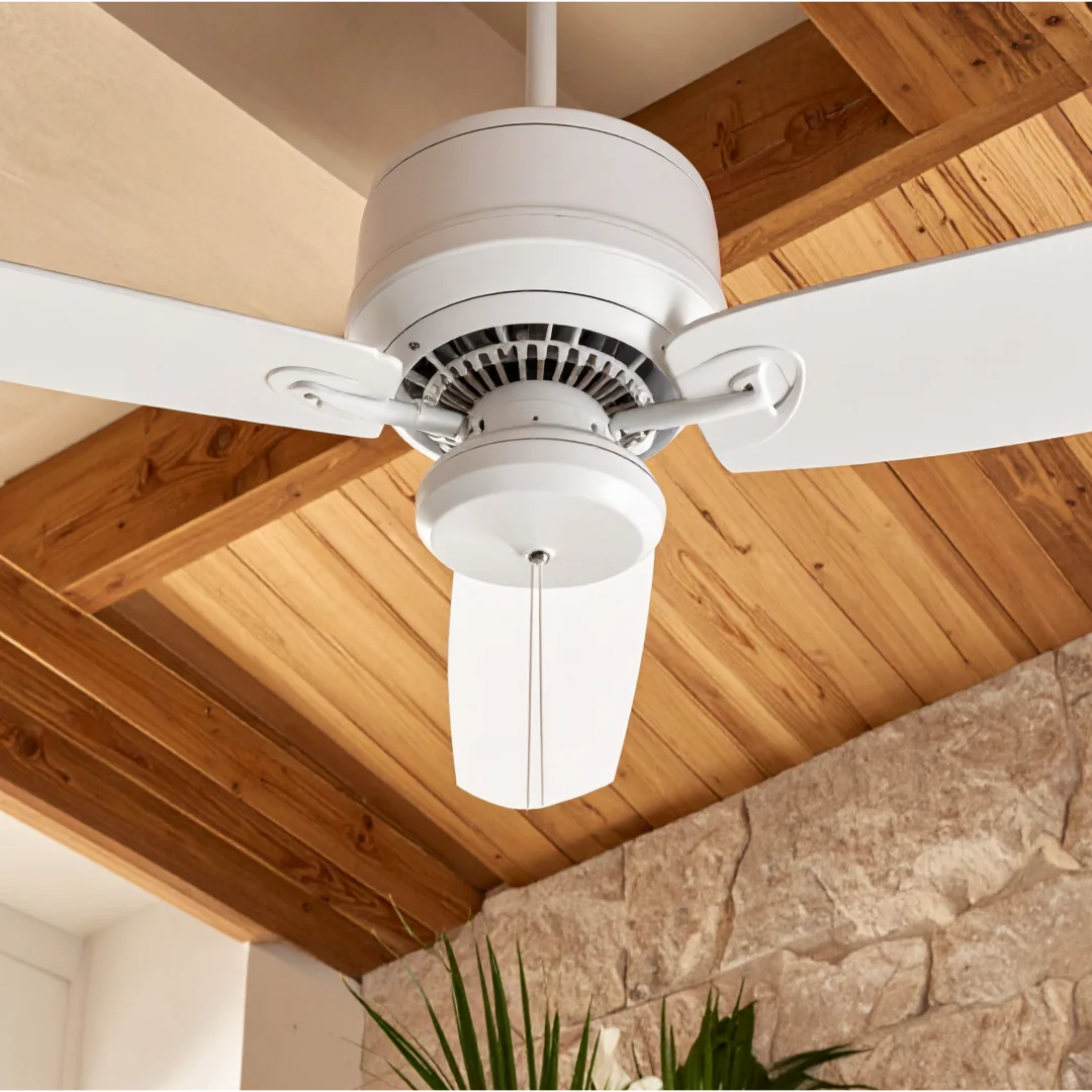 Ceiling fan – 1200 mm on rent