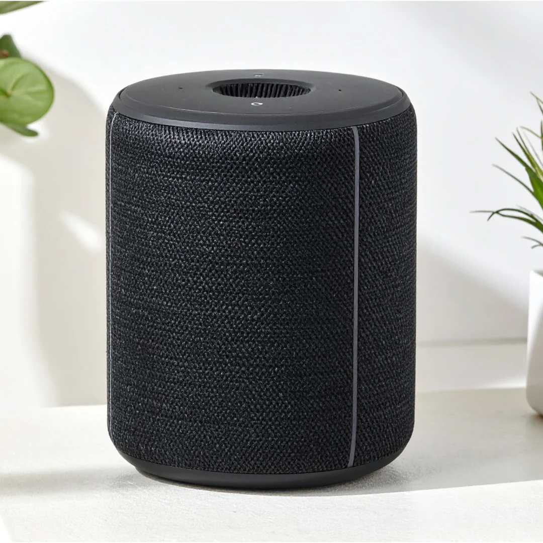 Bluetooth speaker – large on rent