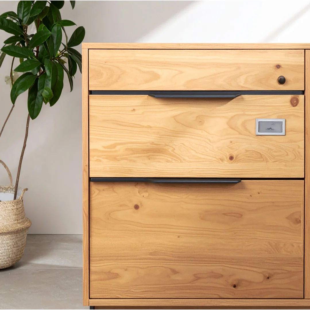 Shoe cabinet – 2-door on rent