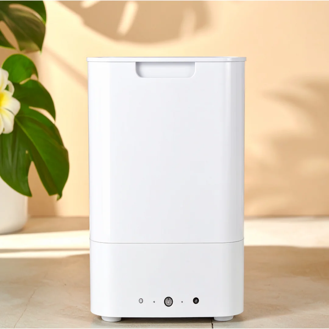 Dehumidifier – compact on rent