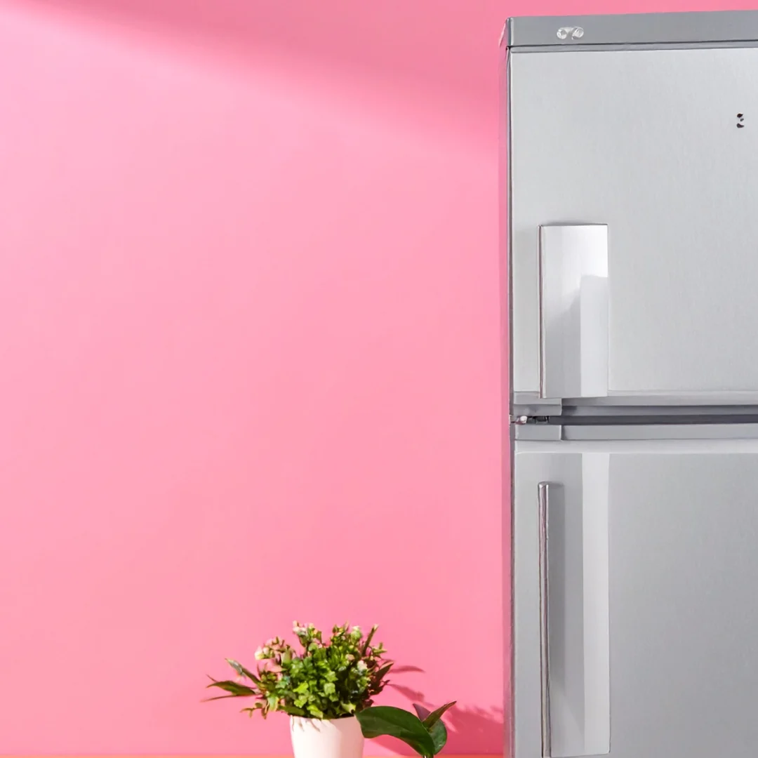 Single-door refrigerator – 141-170 L on rent