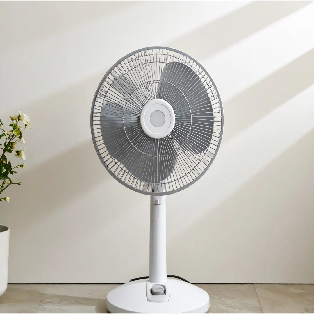 Pedestal fan – 16 in on rent